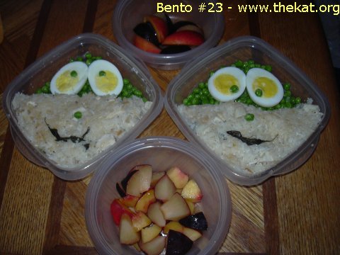 Bento #23