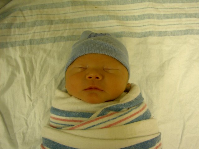 Swaddled